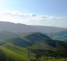 Quinta do Vale da Pia Quinta do Vale da Pia